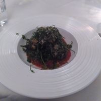  at Place to V in Lenzen Elbe