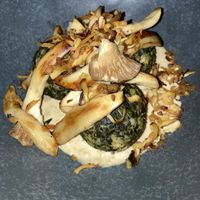   at Place to V in Lenzen Elbe