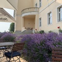 Terrasse at ahead Burghotel in Lenzen Elbe