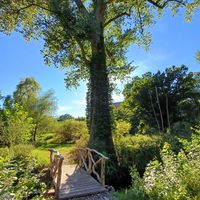  at ahead Burghotel in Lenzen Elbe