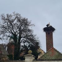  at ahead Burghotel in Lenzen Elbe