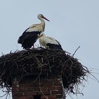  at ahead Burghotel in Lenzen Elbe