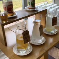   at ahead Burghotel in Lenzen Elbe