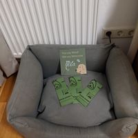 Auch Hunde sind willkommen   at ahead Burghotel in Lenzen Elbe