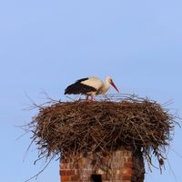  at ahead Burghotel in Lenzen Elbe