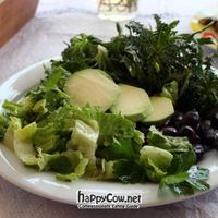 Salad of mountain greens, lettuce, avocado, olives. at To Stachi in Crete