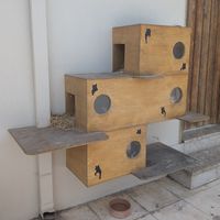 Cat boxes outside for the local residents at To Stachi in Crete