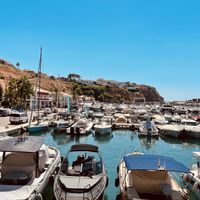 View   at My True Burger and Vegan in Mallorca