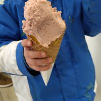 Banana-strawberry at MANU in Geneva