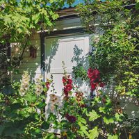  at Camilles Garden & Café in Vaxholm