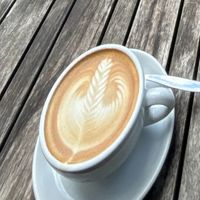   at Kaffeesaurus in Bonn