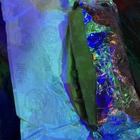   at The Surfin Burrito in Cancun