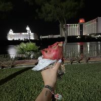   at The Surfin Burrito in Cancun