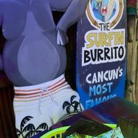   at The Surfin Burrito in Cancun