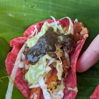Bean and rice taco at The Surfin Burrito in Cancun