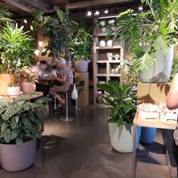 Interior at Hiltl Pflanzbar in Zurich