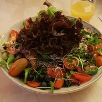 Seasonal salad at Max Pett in Munich