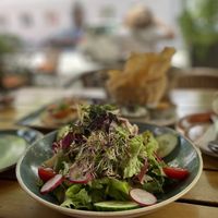   at Max Pett in Munich