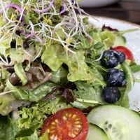 Seasonal salad  at Max Pett in Munich