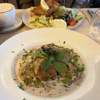 Bread dumplings and schnitzel   at Max Pett in Munich