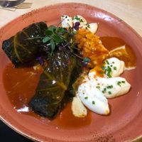 Cabbage rolls with beyond inside - also delicious choice at Max Pett in Munich