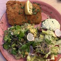 Krispy plant based schnitzel and maybe the best German style potato salad Iv ever had   at Max Pett in Munich