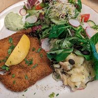 Schnitzel at Max Pett in Munich