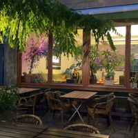   at Max Pett in Munich