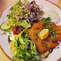 The Schnitzel. at Max Pett in Munich