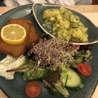 Schnitzel with cucumber potato salad at Max Pett in Munich