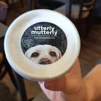  at The Queen Inn in Cwmbran