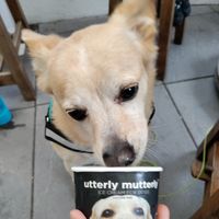  at The Queen Inn in Cwmbran