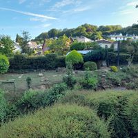 Duck "river" at The Queen Inn in Cwmbran