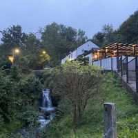 Lovely garden with ducks  at The Queen Inn in Cwmbran