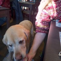  at The Queen Inn in Cwmbran