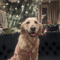  at The Queen Inn in Cwmbran