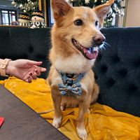  at The Queen Inn in Cwmbran