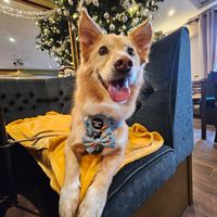  at The Queen Inn in Cwmbran