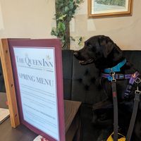 Lots of options at The Queen Inn in Cwmbran