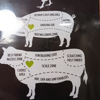  at The Queen Inn in Cwmbran