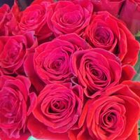  at New Seasons Market - Concordia in Portland