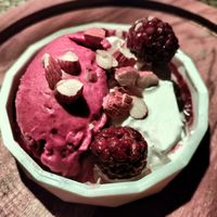 Amazing vegan ice creams at San Lucas Treetop Dining Experience in Monteverde