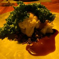 Part two of the main course #Veganuary at San Lucas Treetop Dining Experience in Monteverde