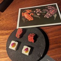 Course 9 - Monteverde at San Lucas Treetop Dining Experience in Monteverde