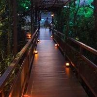 Beautiful ambience at San Lucas Treetop Dining Experience in Monteverde