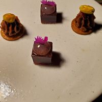 Chocolate and gummies at San Lucas Treetop Dining Experience in Monteverde