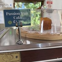   at Café Monteverde Coffee Shop in Monteverde