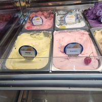 Mango and Lemon vegan options...yummy! at Sirena Gelato in Bellingham