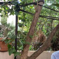   at Billy Brunch & Garden in Barcelona