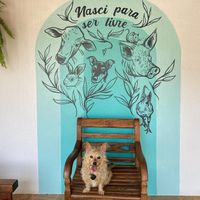  at La Gorda Vegana - temporarily closed in Sao Bento Do Sapucai